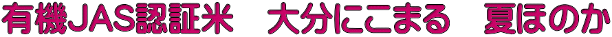 有機JAS認証米 大分にこまる 夏ほのか
